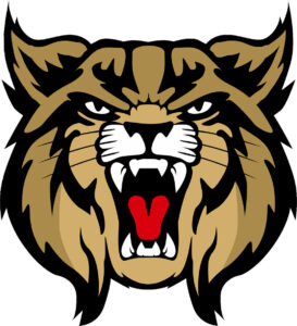 Brookings Bobcats wrap up regular bowling season