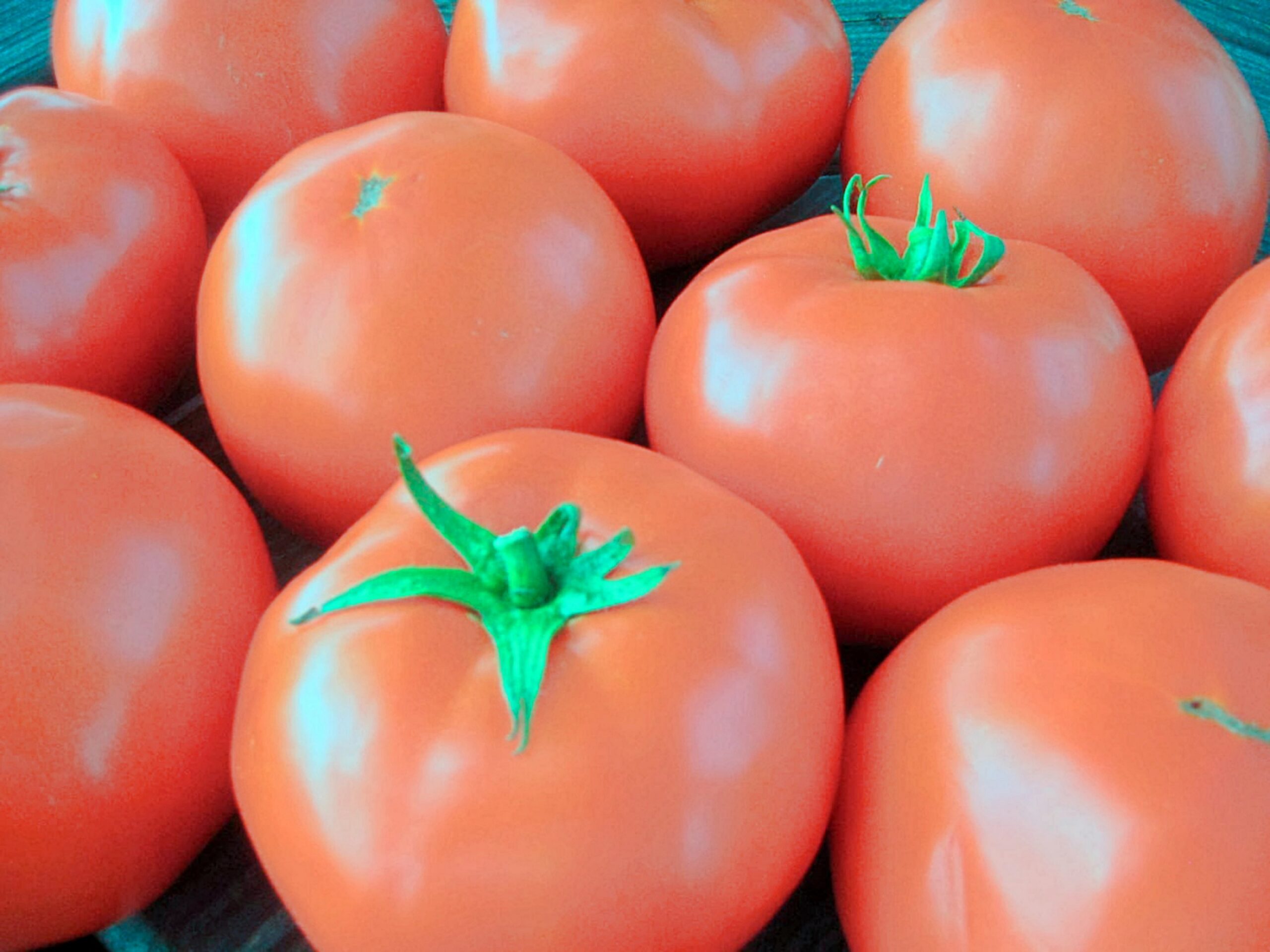 From the Garden: Save money by growing your own fresh vegetables