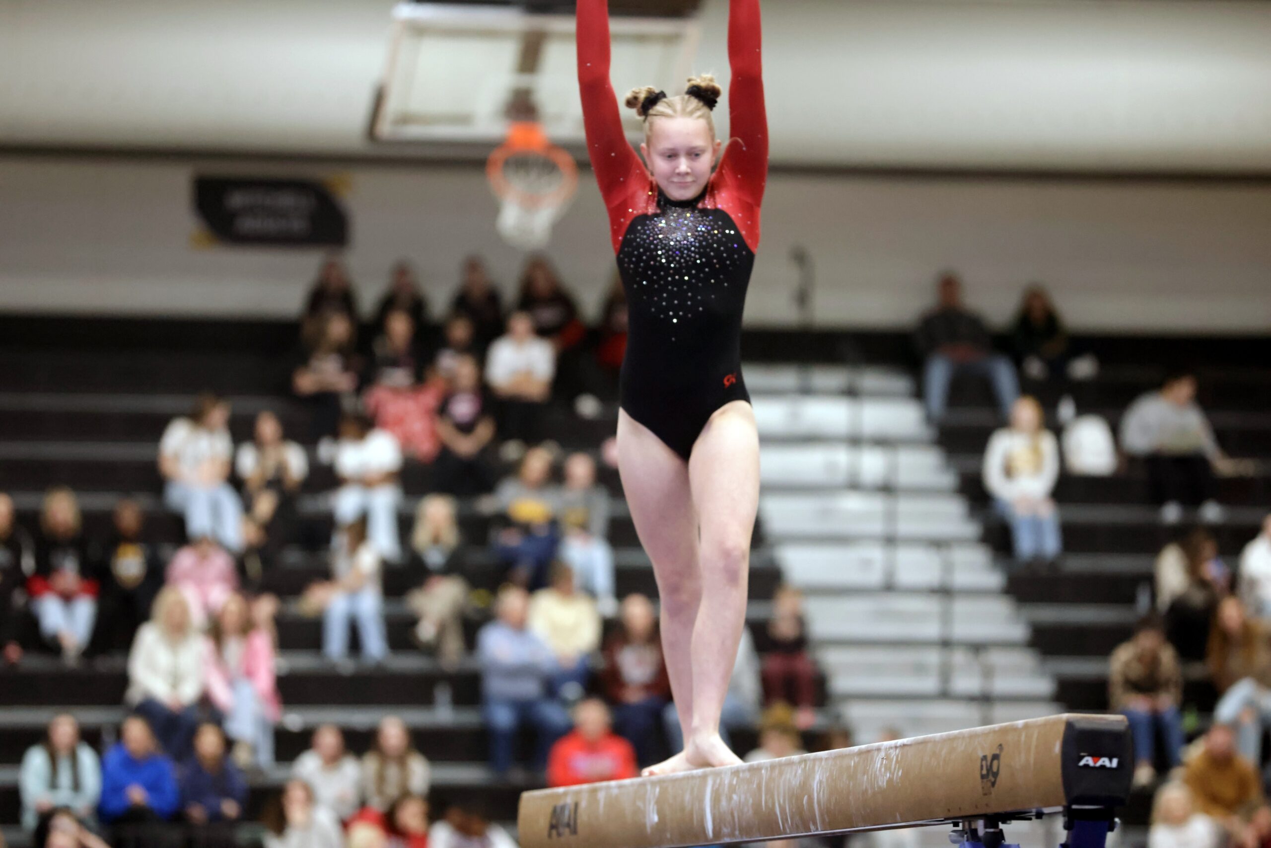 Bobcats come in fifth at state tournament