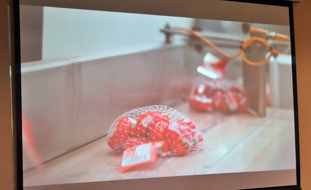 The Bel Brands USA plant in Brookings is the exclusive manufacturer of the companys Babybel cheese product line.
                                 Mondell Keck/Brookings Register