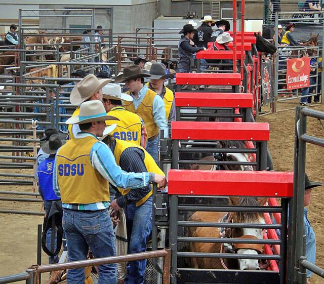 No rodeo is complete without horses, and the Jackrabbit Stampede was no exception to that rule, with 337 stalls being required for the two-day event at the Dacotah Bank Center on April 10-11 in Brookings.
                                 Mondell Keck/Brookings Register
