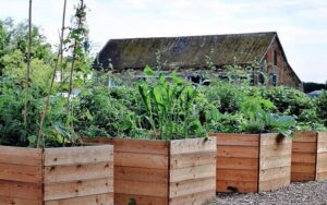 New season of Garden Hour kicks off May 5