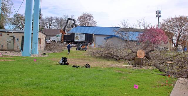 The trees around the water tower on Sixth Street have been removed in preparation for the towers removal, which is expected to start next week. A longtime fixture and landmark in Brookings, the water tower hasnt been used for years, and the communications equipment it once housed has been moved and reinstalled at a site just north of Tropical Smoothie Cafe, also on Sixth Street.
Mondell Keck/Brookings Register