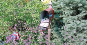 From the Garden: Try five-minute garden maintenance